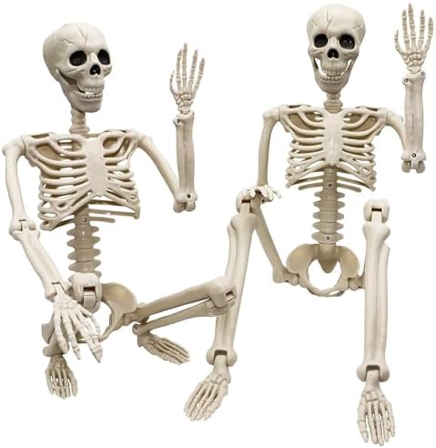 2 Pack 36"Halloween Skeleton - 3 ft Life Size Human Skeleton with Full Body Posable Joints Plastic Skeleton for Halloween Skeletons Decor Yard Patio Lawn Garden Skeleton Props Spooky Party Decoration by Znorso