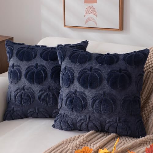 DFXSZ Fall Pillow Covers 20x20 2Pcs Navy Blue Pumpkin Fall Decorations by DFXSZ