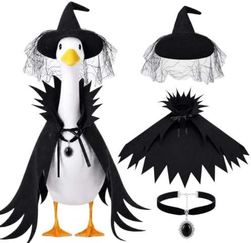 Halloween Witch Porch Goose Outfit Lace Spider Web Hat Goth Cape by TAKEALOOKO