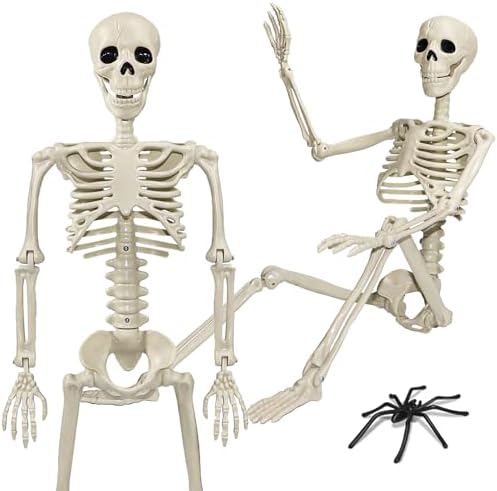 36" Skeleton Halloween Decorations, 3ft Life Size Human Skeleton with Full Body Movable Posable Joints Skeleton, Halloween Skeletons with 20 Spiders for Yard Haunted House Props Indoor Outdoor Decor by Znorso