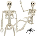 36" Skeleton Halloween Decorations, 3ft Life Size Human Skeleton with Full Body Movable Posable Joints Skeleton, Halloween Skeletons with 20 Spiders for Yard Haunted House Props Indoor Outdoor Decor by Znorso