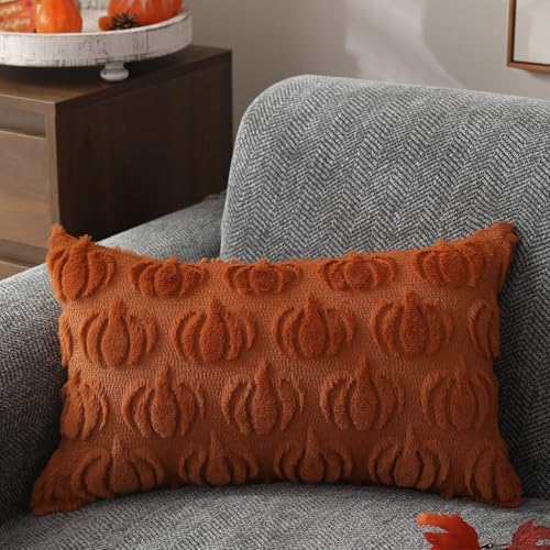 DFXSZ Fall Pillow Covers 12x20 2Pcs Rust Pumpkin Fall Decorations for Home - Image 3