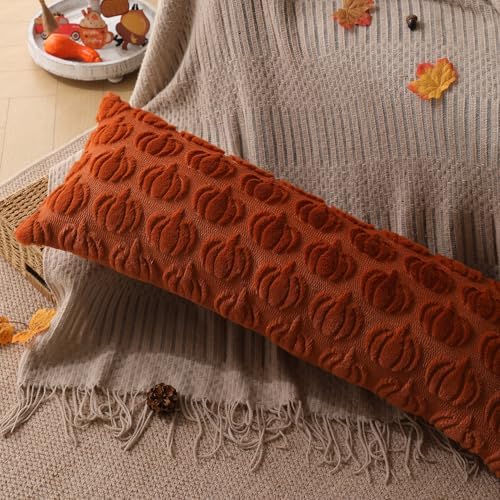 DFXSZ Fall Pillow Covers 14x36 1Pcs Rust Pumpkin Fall Decorations for Home - Image 3