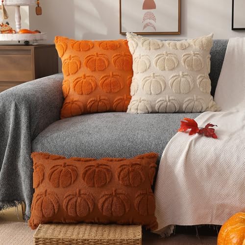 DFXSZ Fall Pillow Covers 16x16 2Pcs Beige Pumpkin Fall Decorations for Home - Image 4