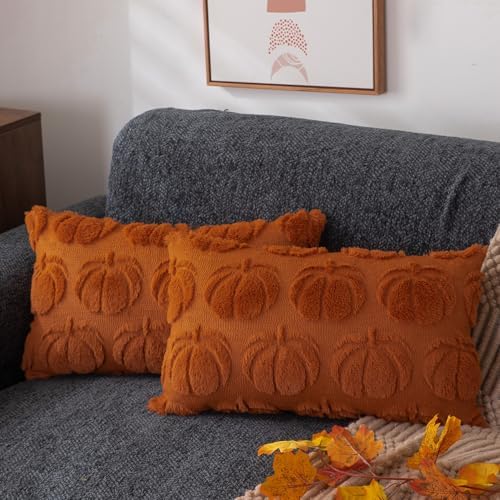DFXSZ Fall Pillow Covers 12x20 2Pcs Rust Pumpkin Fall Decorations for Home by DFXSZ