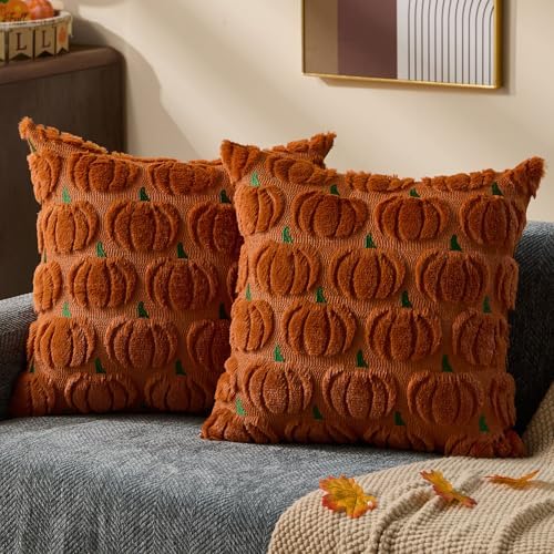 DFXSZ Fall Pillow Covers 18x18 2Pcs Rust Green Pumpkin Fall Decorations by DFXSZ