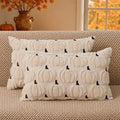 DFXSZ Fall Pillow Covers 12x20 2Pcs Beige Brown Pumpkin Fall Decorations by DFXSZ