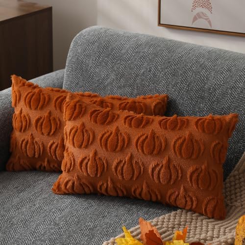DFXSZ Fall Pillow Covers 12x20 2Pcs Rust Pumpkin Fall Decorations for Home by DFXSZ