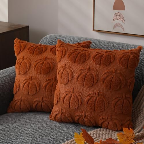DFXSZ Fall Pillow Covers 16x16 2Pcs Rust Pumpkin Fall Decorations for Home by DFXSZ