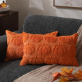 DFXSZ Fall Pillow Covers 12x20 2Pcs Orange Pumpkin Fall Decoration for Home by DFXSZ