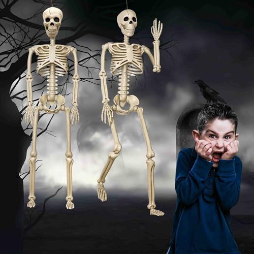 2 Pack 36"Halloween Skeleton - 3 ft Life Size Human Skeleton with Full Body Posable Joints Plastic Skeleton for Halloween Skeletons Decor Yard Patio Lawn Garden Skeleton Props Spooky Party Decoration - Image 3