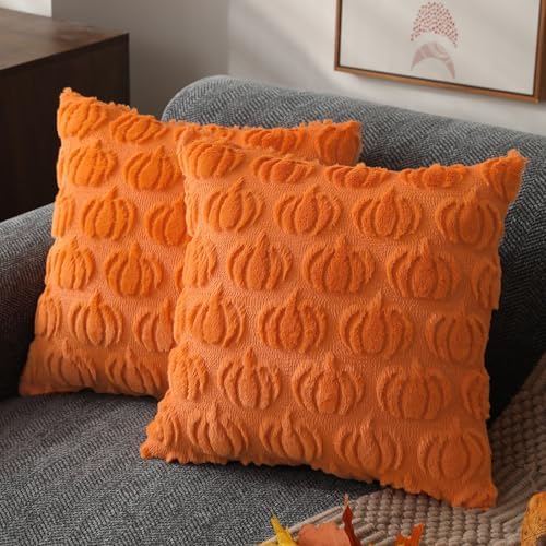 DFXSZ Fall Pillow Covers 20x20 2Pcs Orange Pumpkin Fall Decoration for Home by DFXSZ