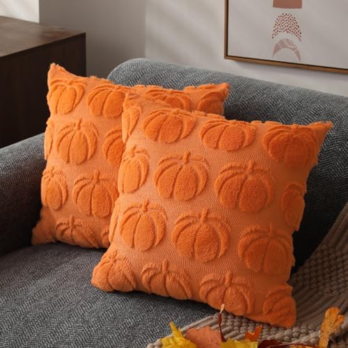 DFXSZ Fall Pillow Covers 16x16 2Pcs Orange Pumpkin Fall Decoration for Home by DFXSZ