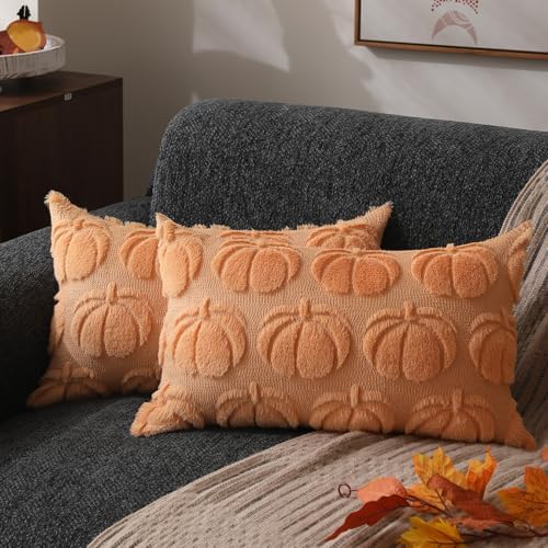DFXSZ Fall Pillow Covers 20x20 2Pcs Light Orange Pumpkin Fall Decorations by DFXSZ