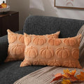 DFXSZ Fall Pillow Covers 20x20 2Pcs Light Orange Pumpkin Fall Decorations by DFXSZ