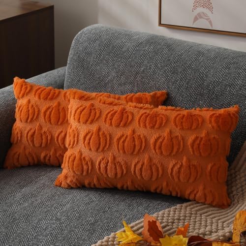 DFXSZ Fall Pillow Covers 12x20 2Pcs Orange Pumpkin Fall Decoration for Home by DFXSZ