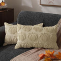 DFXSZ Fall Pillow Covers 12x20 2Pcs Beige Pumpkin Fall Decorations for Home by DFXSZ