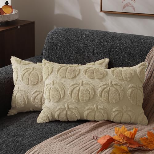 DFXSZ Fall Pillow Covers 12x20 2Pcs Beige Pumpkin Fall Decorations for Home by DFXSZ