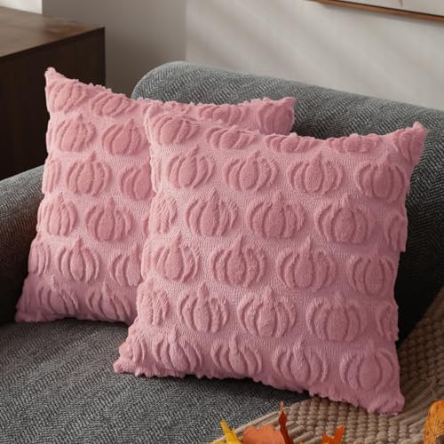 DFXSZ Fall Pillow Covers 16x16 2Pcs Pink Pumpkin Fall Decorations for Home by DFXSZ