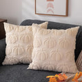 DFXSZ Fall Pillow Covers 20x20 2Pcs Beige Pumpkin Fall Decorations for Home by DFXSZ