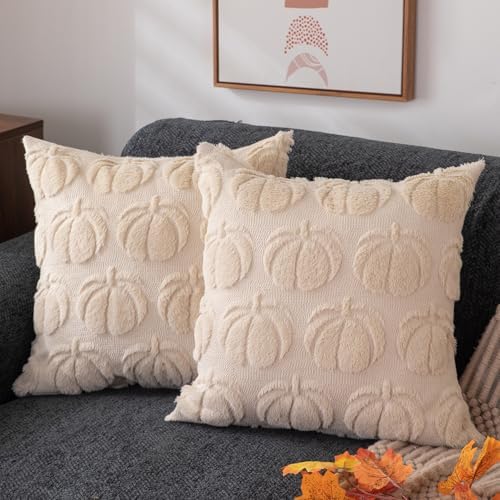 DFXSZ Fall Pillow Covers 20x20 2Pcs Beige Pumpkin Fall Decorations for Home by DFXSZ