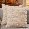 DFXSZ Fall Pillow Covers 20x20 2Pcs Beige Pumpkin Fall Decorations for Home by DFXSZ