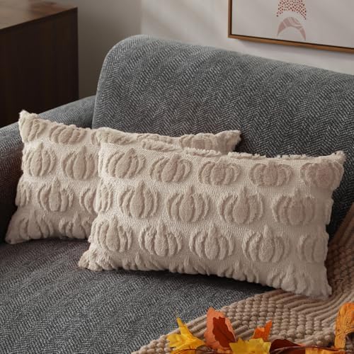 DFXSZ Fall Pillow Covers 12x20 2Pcs Beige Pumpkin Fall Decorations for Home by DFXSZ