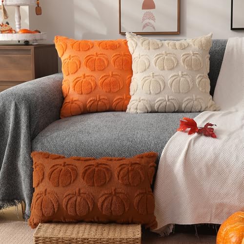 DFXSZ Fall Pillow Covers 16x16 2Pcs Orange Pumpkin Fall Decoration for Home - Image 4