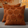 DFXSZ Fall Pillow Covers 18x18 2Pcs Rust Brown Pumpkin Fall Decorations by DFXSZ