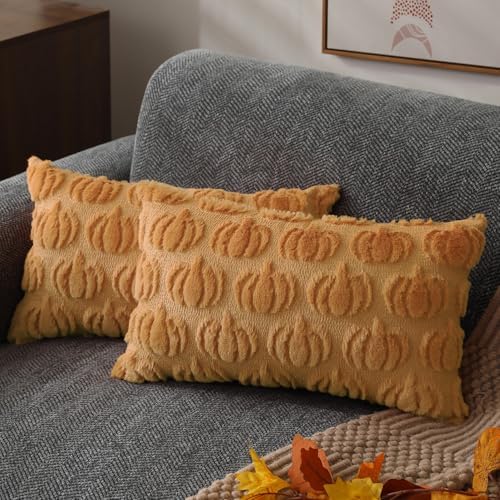 DFXSZ Fall Pillow Covers 20x20 2Pcs Light Orange Pumpkin Fall Decorations by DFXSZ