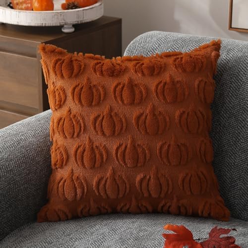 DFXSZ Fall Pillow Covers 18x18 2Pcs Rust Pumpkin Fall Decorations for Home - Image 3