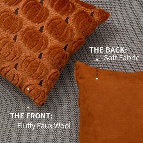 DFXSZ Fall Pillow Covers 18x18 2Pcs Rust Brown Pumpkin Fall Decorations - Image 5