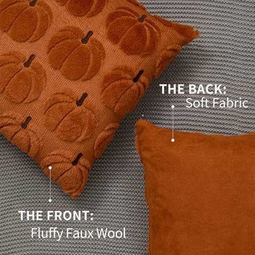 DFXSZ Fall Pillow Covers 18x18 2Pcs Rust Brown Pumpkin Fall Decorations - Image 5