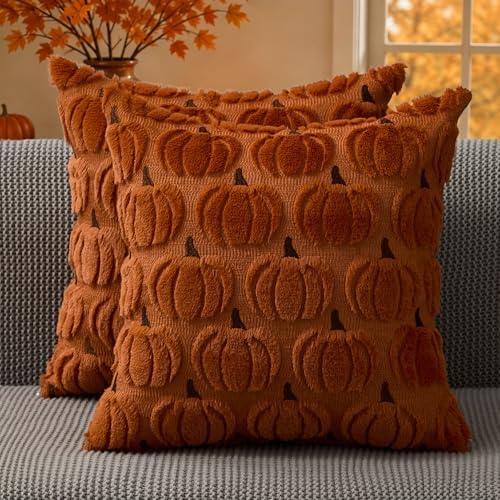 DFXSZ Fall Pillow Covers 18x18 2Pcs Rust Brown Pumpkin Fall Decorations by DFXSZ