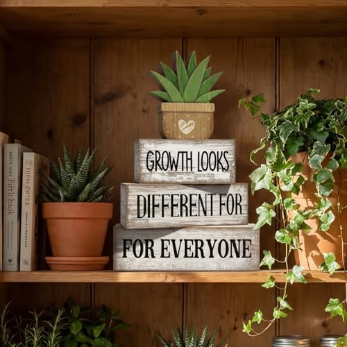 Lineshading 4 Pcs Farmhouse Table Decor, Inspirational Office Shelf Decor - Image 6