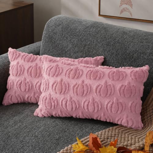 DFXSZ Fall Pillow Covers 12x20 2Pcs Pink Pumpkin Fall Decorations for Home by DFXSZ