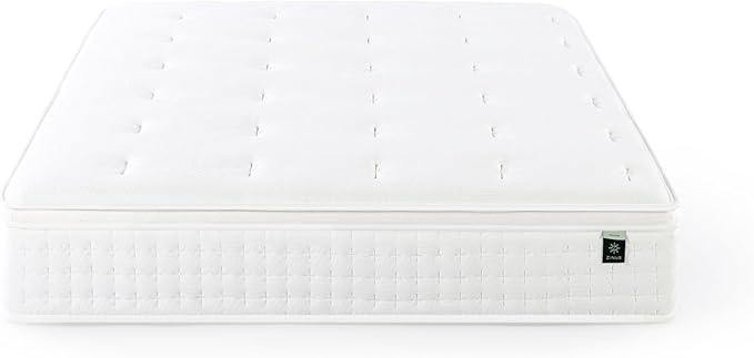 ZINUS 13 Inch Euro Top Pocket Spring Hybrid Mattress, Queen, Pressure Relief, Pocket Innersprings for Motion Isolation, Mattress in A Box