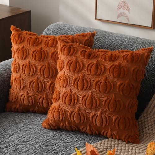 DFXSZ Fall Pillow Covers 16x16 2Pcs Rust Pumpkin Fall Decorations for Home by DFXSZ