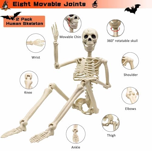 2 Pack 36"Halloween Skeleton - 3 ft Life Size Human Skeleton with Full Body Posable Joints Plastic Skeleton for Halloween Skeletons Decor Yard Patio Lawn Garden Skeleton Props Spooky Party Decoration - Image 5