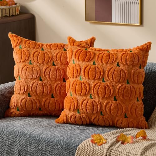 DFXSZ Fall Pillow Covers 18x18 2Pcs Orange Green Pumpkin Fall Decorations by DFXSZ