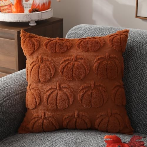 DFXSZ Fall Pillow Covers 16x16 2Pcs Rust Pumpkin Fall Decorations for Home - Image 3