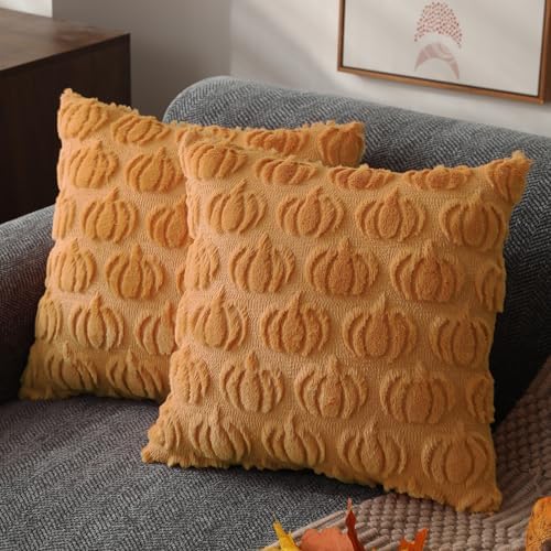 DFXSZ Fall Pillow Covers 20x20 2Pcs Light Orange Pumpkin Fall Decorations by DFXSZ