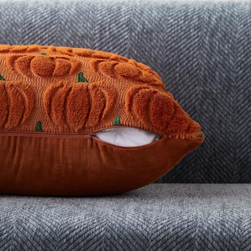 DFXSZ Fall Pillow Covers 18x18 2Pcs Rust Green Pumpkin Fall Decorations - Image 2
