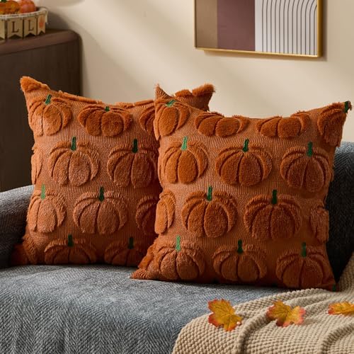 DFXSZ Fall Pillow Covers 18x18 2Pcs Rust Green Pumpkin Fall Decorations by DFXSZ