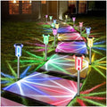 DenicMic Outdoor Solar Lights Waterproof 10 Pack Color LED Christmas Decor by Denicmic