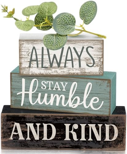 Lineshading 4 Pcs Inspirational Farmhouse Table Decor Wooden Shelves Signs by Lineshading