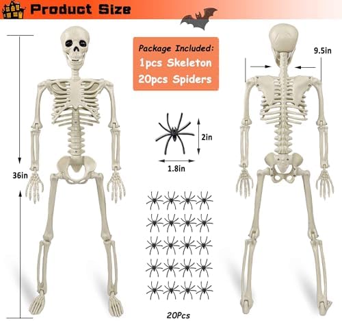 36" Skeleton Halloween Decorations, 3ft Life Size Human Skeleton with Full Body Movable Posable Joints Skeleton, Halloween Skeletons with 20 Spiders for Yard Haunted House Props Indoor Outdoor Decor - Image 5