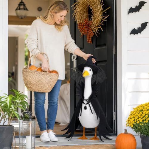 Halloween Witch Porch Goose Outfit Lace Spider Web Hat Goth Cape - Image 2