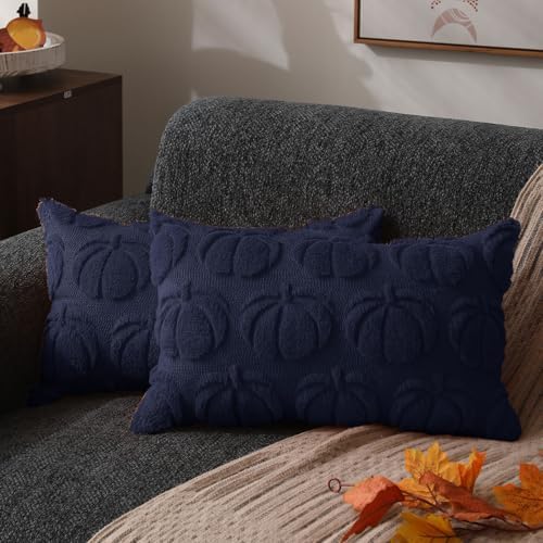 DFXSZ Fall Pillow Covers 12x20 2Pcs Navy Blue Pumpkin Fall Decorations by DFXSZ