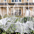 1000 sqft Spider Webs Halloween Decorations with 30 Fake Spiders by Unknown
